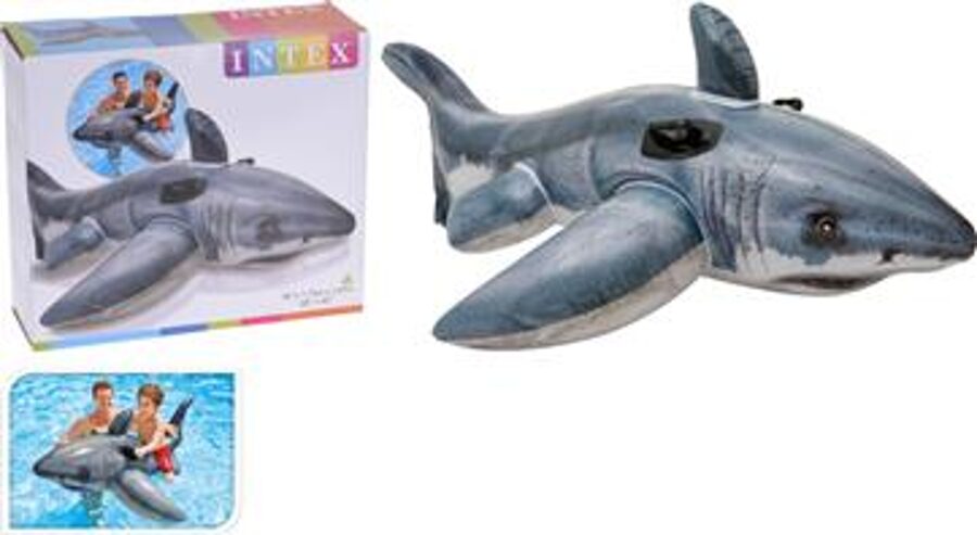 Shark 173 x 170 cm