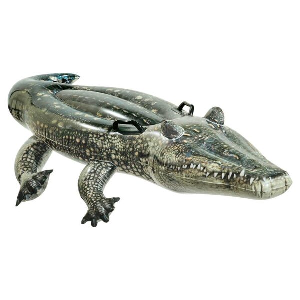 INTEX Crocodile 170 x 86 cm
